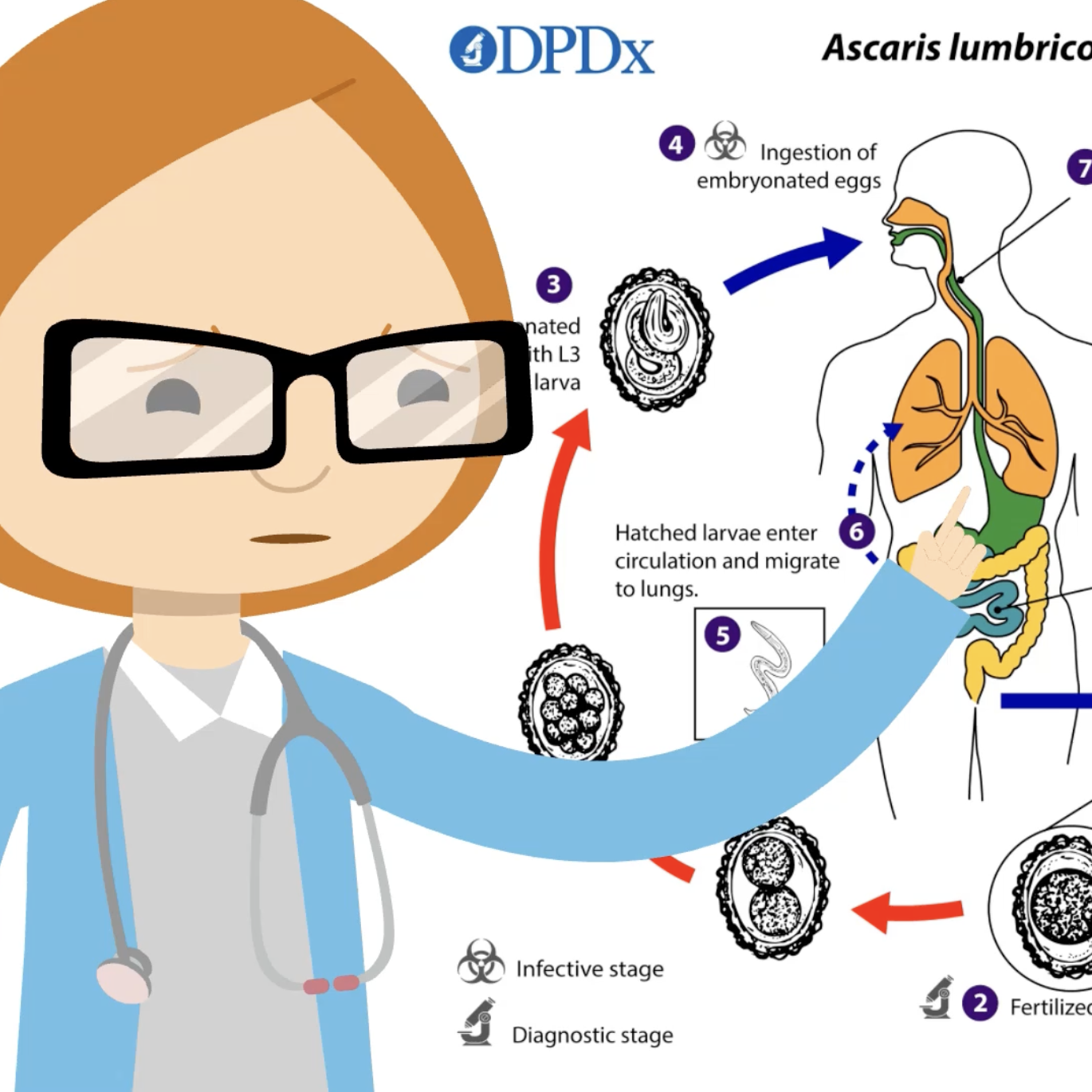 Video Excerpts from Books by Hulda Clark