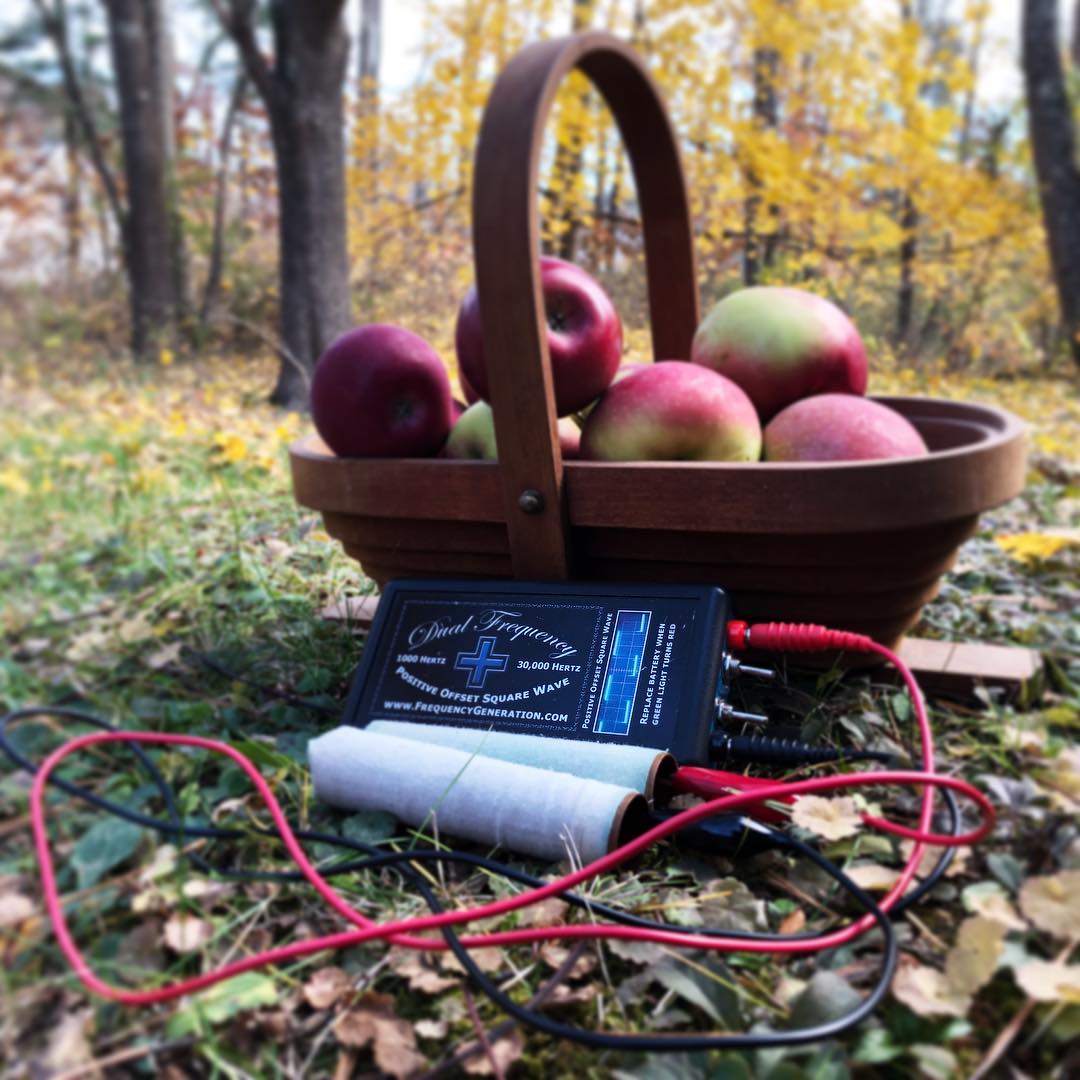 Watch a video excerpt from Hulda Clark's book and test your knowledge in a crossword puzzle