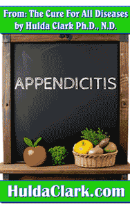 Ebooks excerpted from The Cure for All Diseases by Hulda Clark