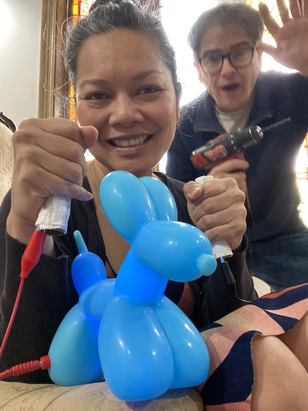 Fun container ideas for building a Hulda Clark Zapper