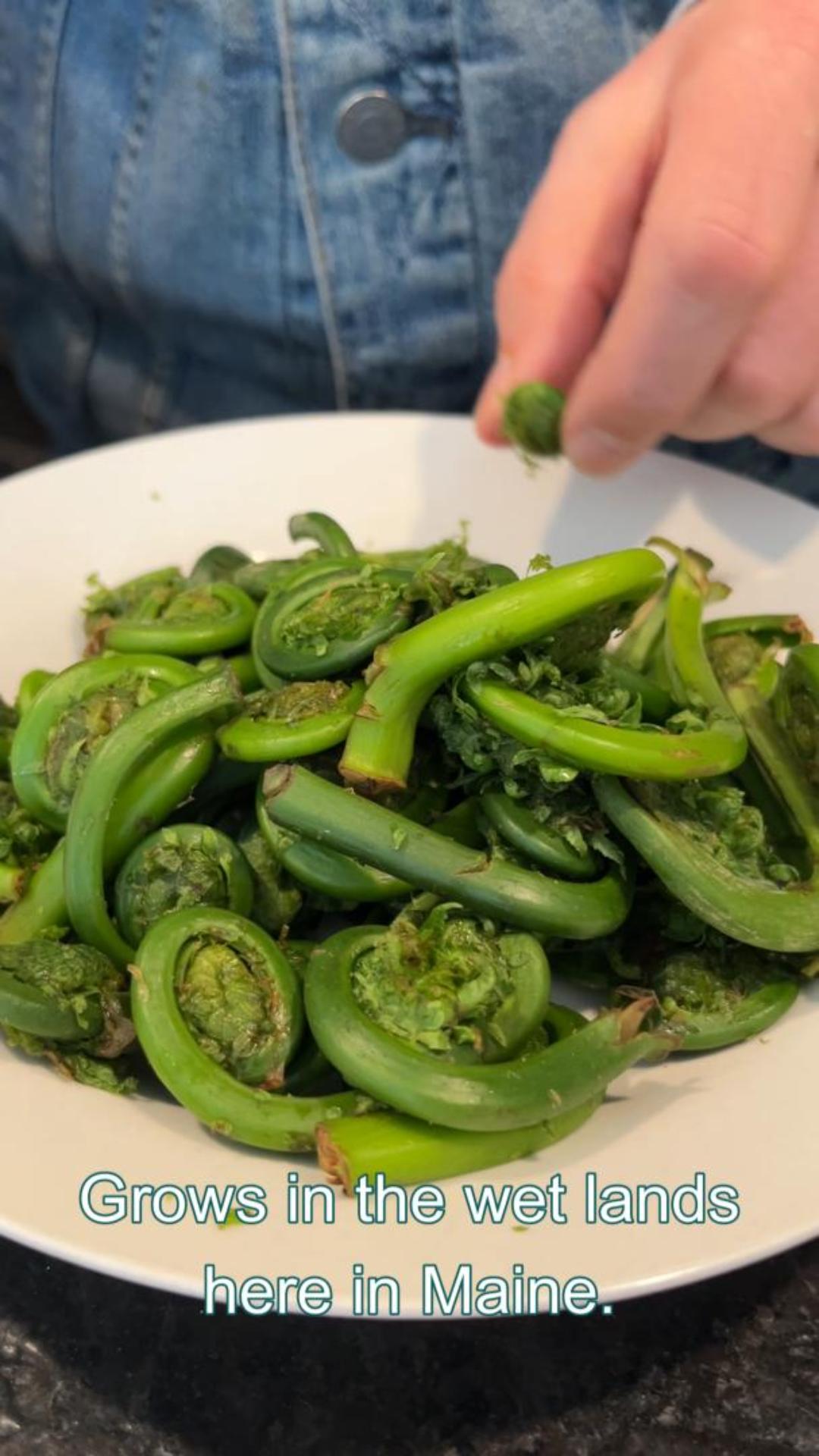 Fiddleheads